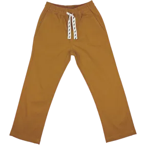 TIN Provisions Chino Pant In Rust